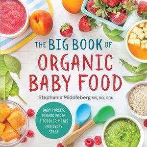 The Big Book of Organic Baby Food